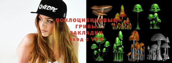 ешки Лиски