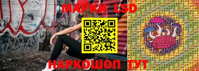 гашик Камышлов