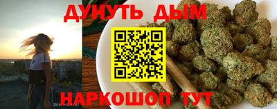 гашик Камышлов