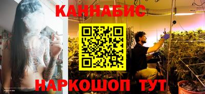 гашик Камышлов