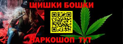 гашик Камышлов