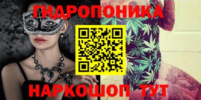 гашик Камышлов