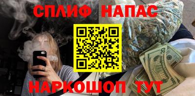 гашик Камышлов
