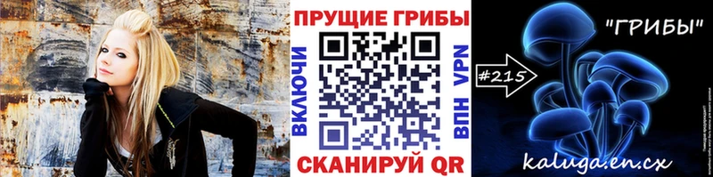 дарнет шоп  mega ссылка  Псилоцибиновые грибы мицелий  Кубинка 