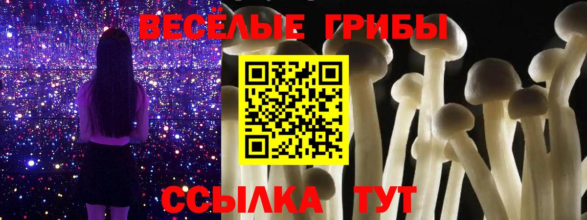 Кубинка  Галлюциногенные грибы Psilocybine cubensis  Вход с VPN  Псилоцибиновые грибы Psilocybe 